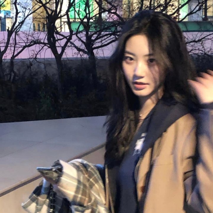 条约