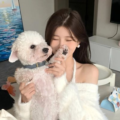 汪汪队立大功第八季